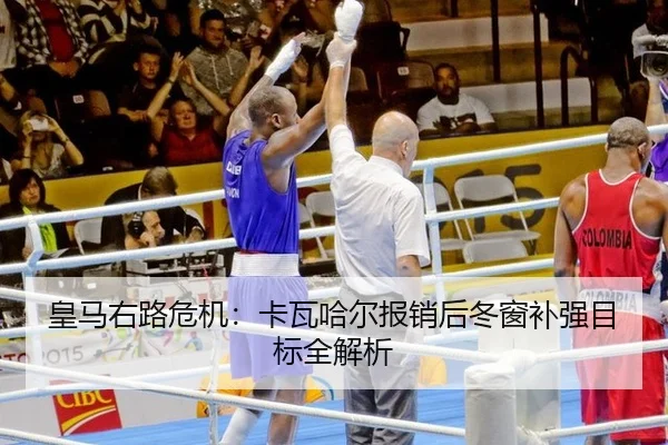 huang-ma-you-lu-wei-ji-ka-wa-ha-er-bao-xiao-hou-dong-chuang-bu-qiang-mu-biao-quan-jie-xi-2-126.jpg