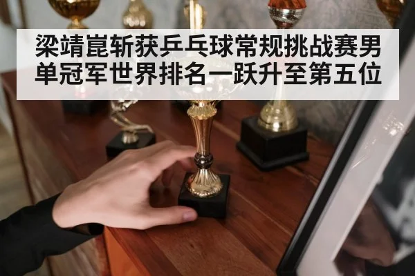 梁靖崑斩获乒乓球常规挑战赛男单冠军世界排名一跃升至第五位